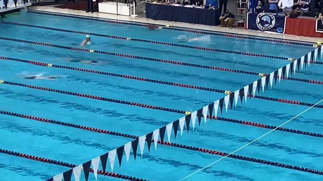 Mens 200 IM Final | 2023 Northwest Spring Speedo Sectionals смотреть онлайн