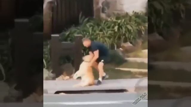 не хочу идти домой ребятам на фронт я там уже был и знаю каково это 2202 2003 4591 2586 сбер смотреть онлайн