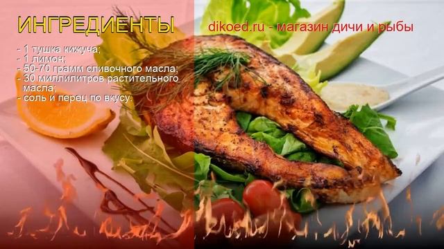 Животные Смешные и Забавные