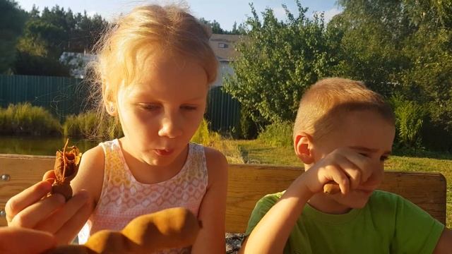 Пробуем, дегустируем Тамаринд- экзотические плоды Таиланда