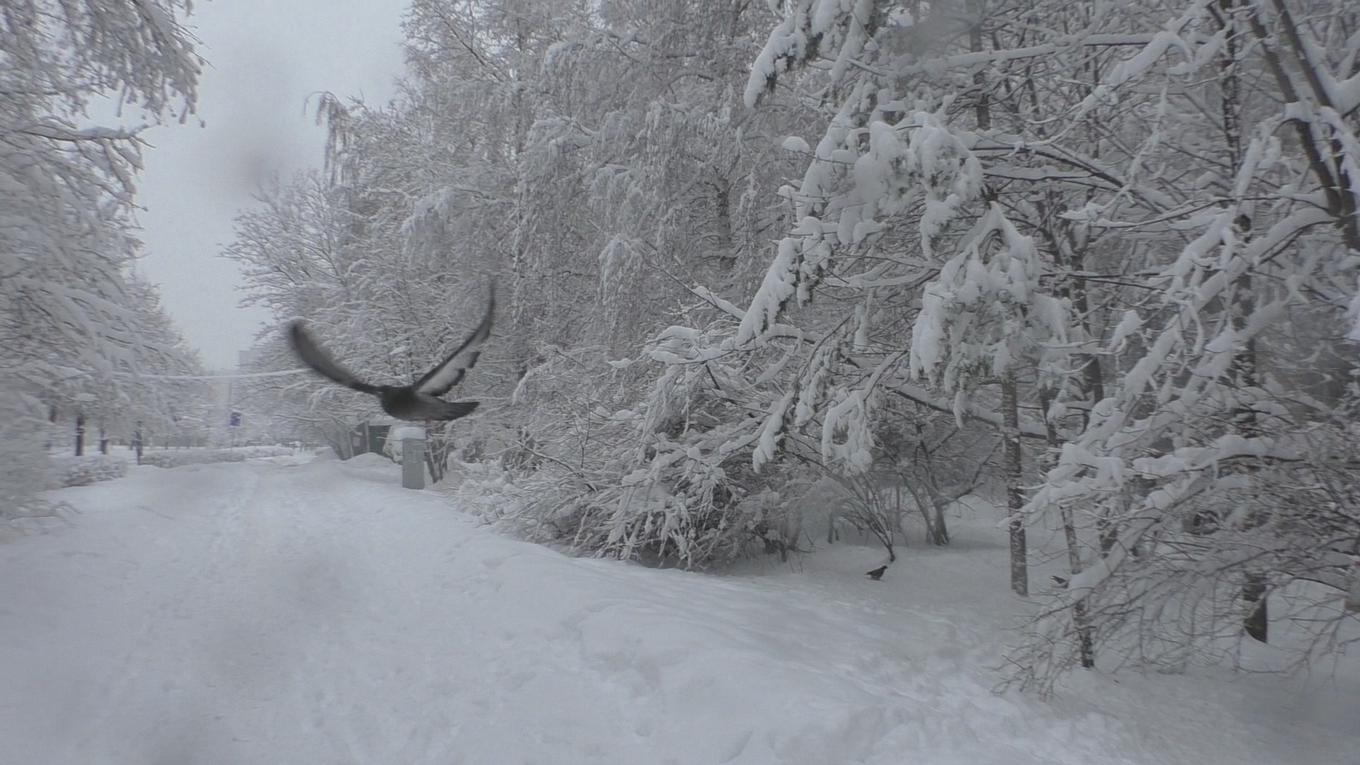 НАС ЗАНЕСЛО СНЕГОМ. ЭТО ПРОСТО СКАЗКА! IT'S A FAIRY TALE!.mp4