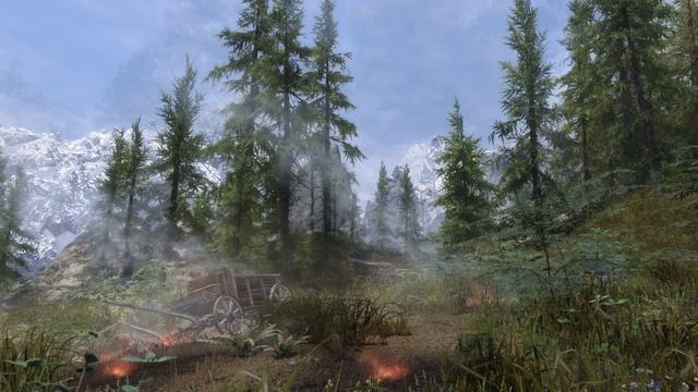 Skyrim Mods: Nature of the Wild Lands смотреть онлайн