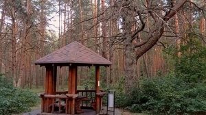 «ЖУРАВУШКА»  САНАТОРИЙ  БЕЛАРУСЬ, МИНСКАЯ ОБЛ.