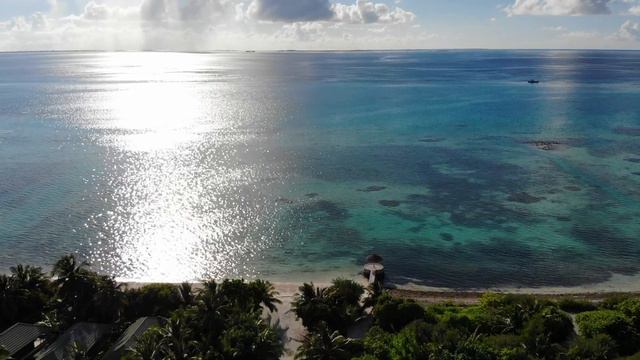 (Мальдивы) Canareef Resort - Март 2018. Mavic Air смотреть онлайн