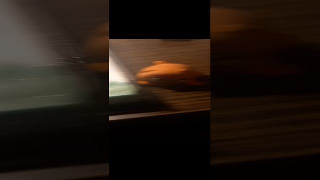 Марат и Вова Адидас