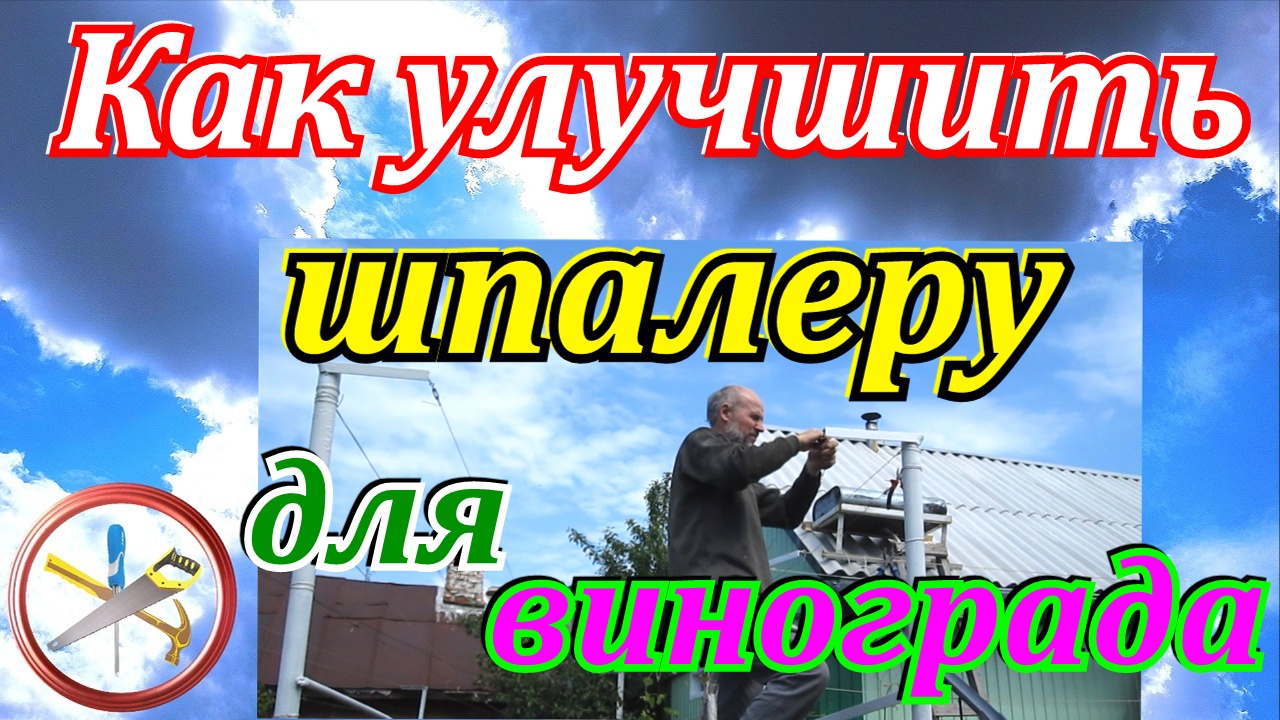 Как улучшить шпалеру для винограда своими руками. Как сделать шпалеру для винограда. смотреть онлайн