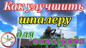Как улучшить шпалеру для винограда своими руками. Как сделать шпалеру для винограда.