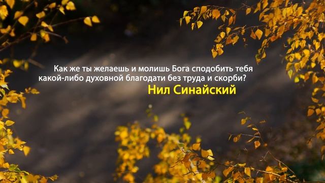 2020 10 14 Цитаты святых