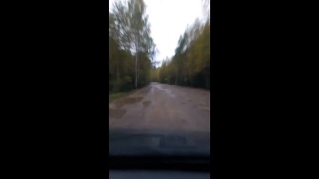 Дорога Нижегородская область Ковернино - Высоково смотреть онлайн