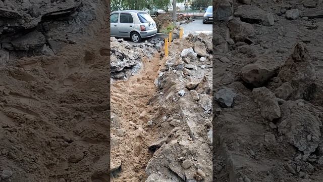 Долбоящеры