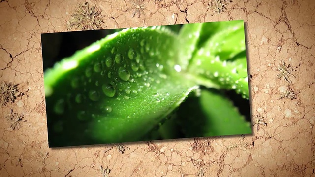 Красота и здоровье Секрет красоты лица и глаз смотреть онлайн