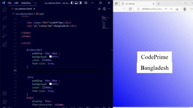 Types Of CSS Selectors Property And Explain How To Use | CSS Tutorial: 26 | BY Codeprime