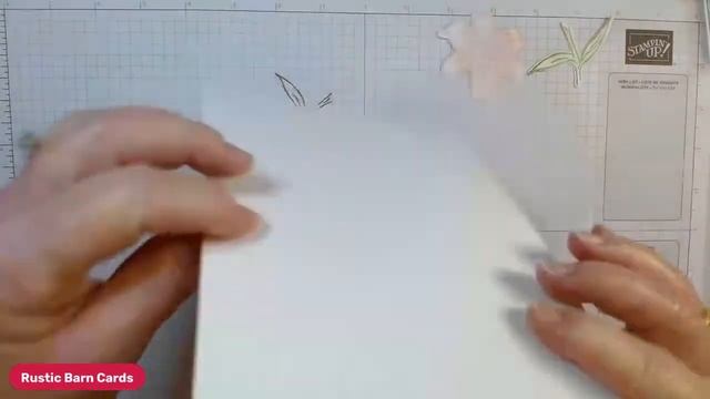 LIVE 01.23.24 Layered Gate Fun Fold Card using Easter Lilies! смотреть онлайн