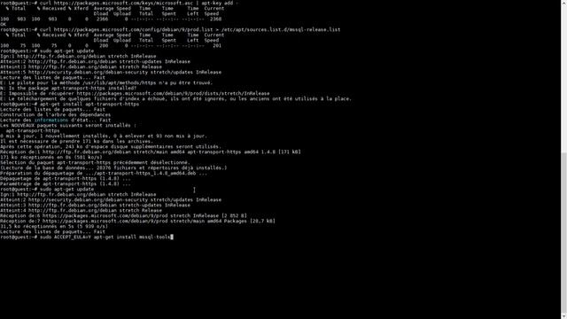 How to install driver tools MSSQL on linux (Debian9 stretch ) смотреть онлайн