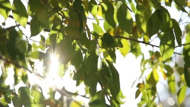 Страстная пятница - Прочитайте сегодня эту молитву. смотреть онлайн