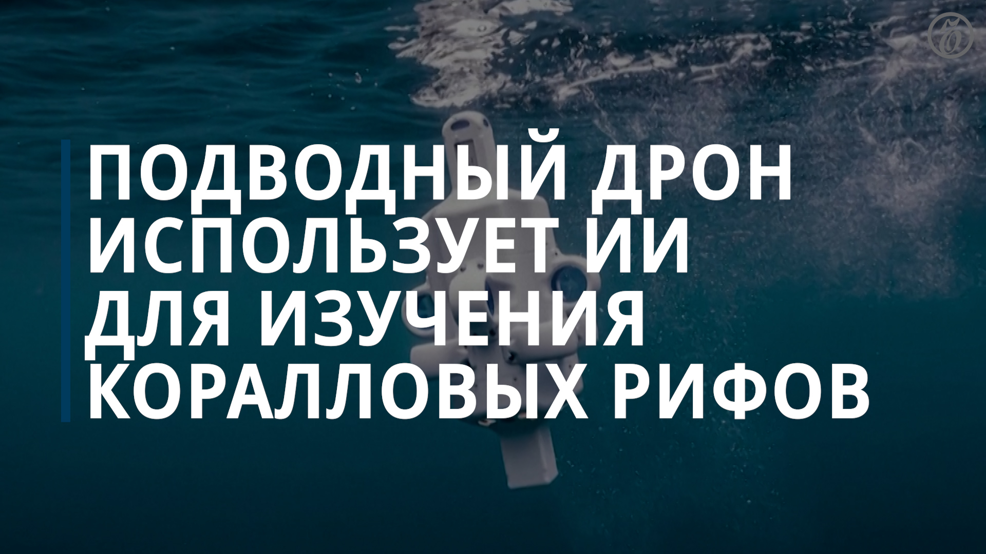 Дрон использует ИИ для изучения коралловых рифов — Коммерсантъ смотреть онлайн