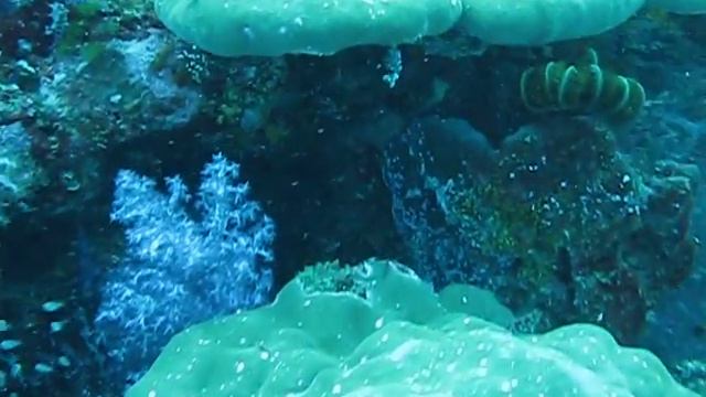 Сафари в Андаманском море (Таиланд) смотреть онлайн
