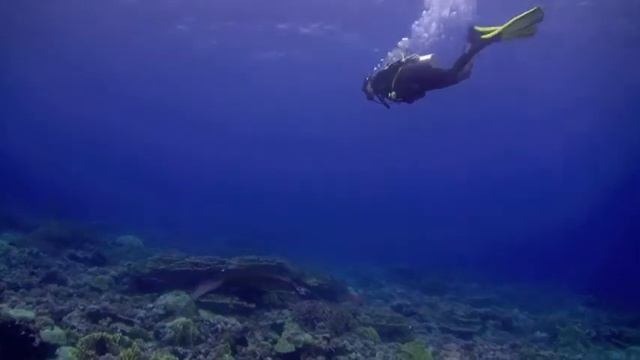MANTA BELLISSIMA смотреть онлайн