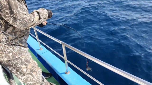 Рыбалка, японское море 09.06.21 смотреть онлайн