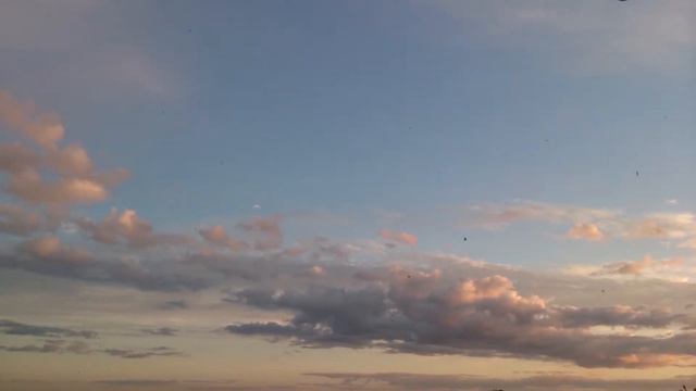 Саранск. Ласточки. смотреть онлайн