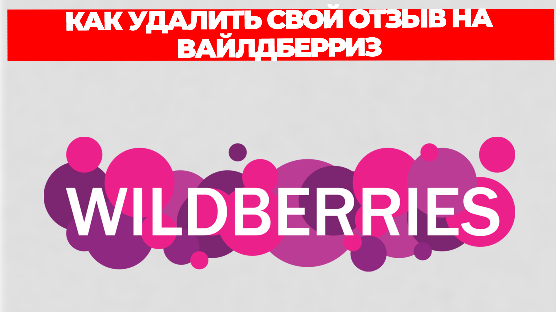 Всезнающий Енот