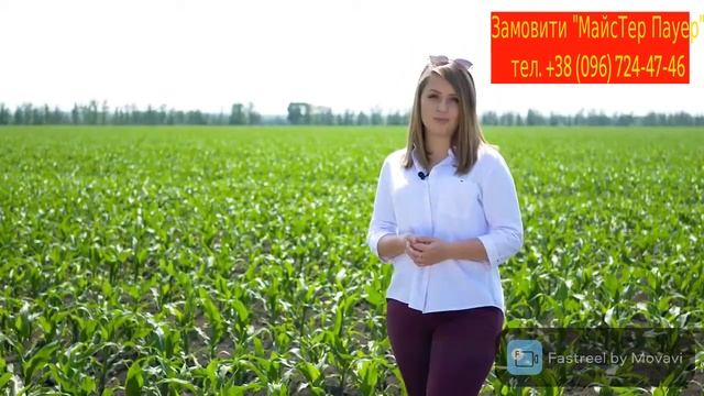 Гербицид для кукурузы "МайсТер Пауер" от ТОВ "Агробаланс" смотреть онлайн