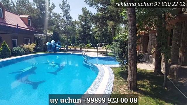 Yangi Uylar Dala xovli sotiladi Toshkent Yashnabod 41 sotok 8 xona arzon 500000$ смотреть онлайн