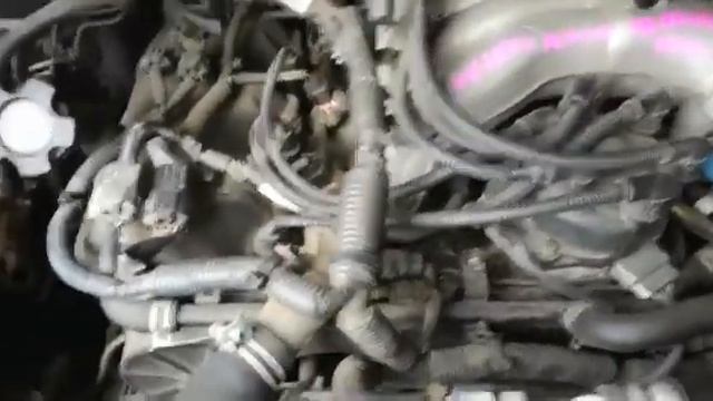 Контрактный двигатель Япония NISSAN ELGRAND / Ниссан Эльгранд/ ALWE50 VG33(E) 094970 А/Т 4WD смотреть онлайн