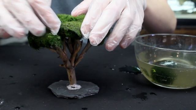 Moss Ball Tree Ecosphere смотреть онлайн