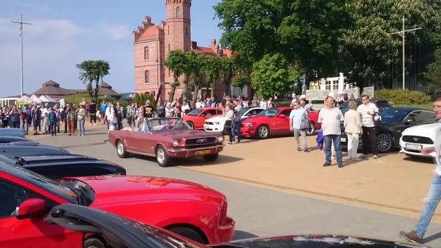 Ford Mustang Meeting in Poland смотреть онлайн