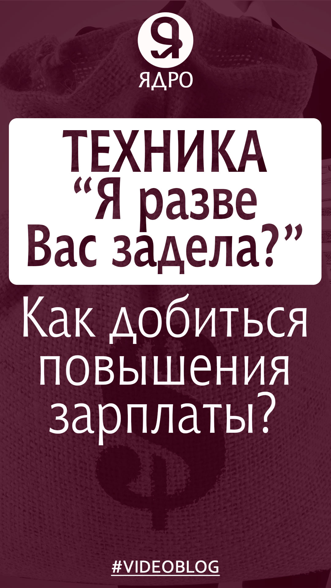 Как говорить о повышении зарплаты с руководителем. Техника «Я разве Вас задела?» смотреть онлайн
