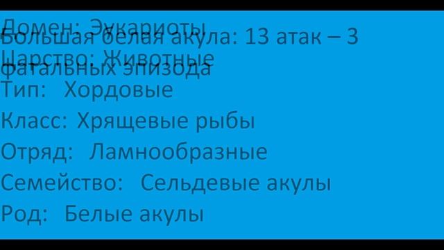 Большая белая акула VS Акула бык-тупорылая акула