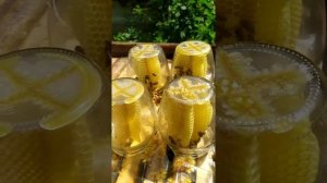 сотовый мёд в банках.bees pack honey into jars. @ пасіка вихідного дня ua.