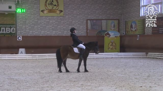 «Хрустальный пони»: 23 ноября состоялся 3й этап соревнований смотреть онлайн