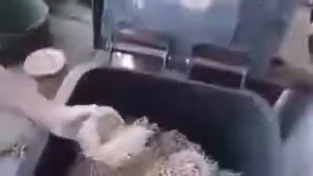 Plant that regenerates instantly / Una planta que se regenera instantaneamente смотреть онлайн