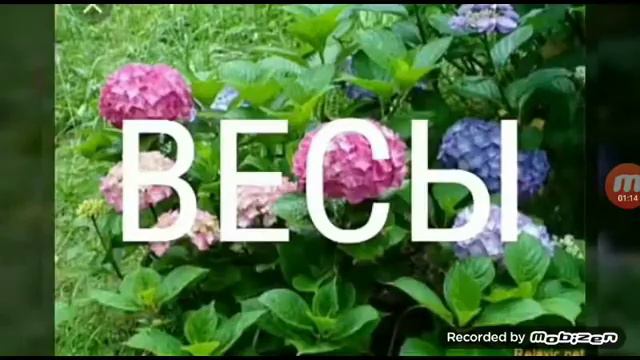 Какая твоя песня па знаку зодиака