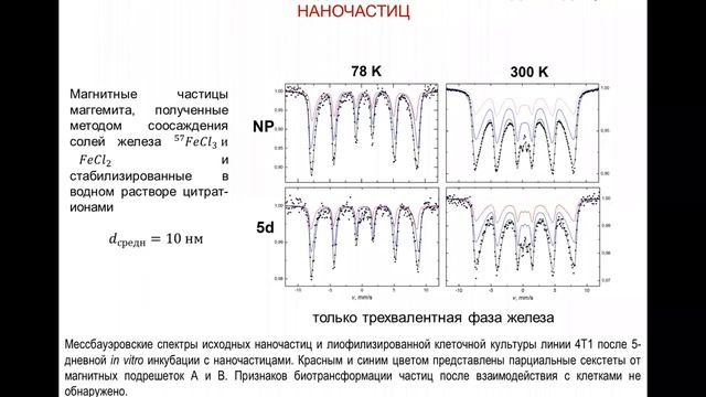 Юреня Антон Юрьевич. Магнитные наночастицы в биомедицине смотреть онлайн