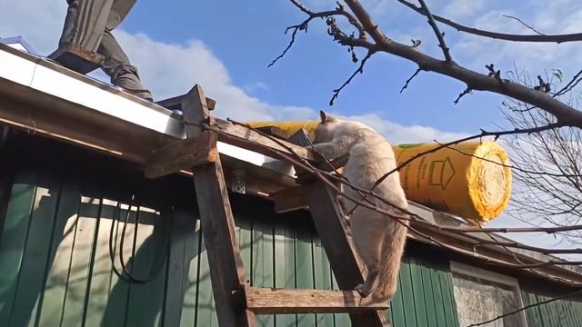 ПОЗДРАВЛЯЕМ ВСЕХ МУЖЧИН С ДНЕМ ЗАЩИТНИКА ОТЕЧЕСТВА.ЛЮБИМЫЕ МОИ ,С ПРАЗДНИКОМ!!! смотреть онлайн