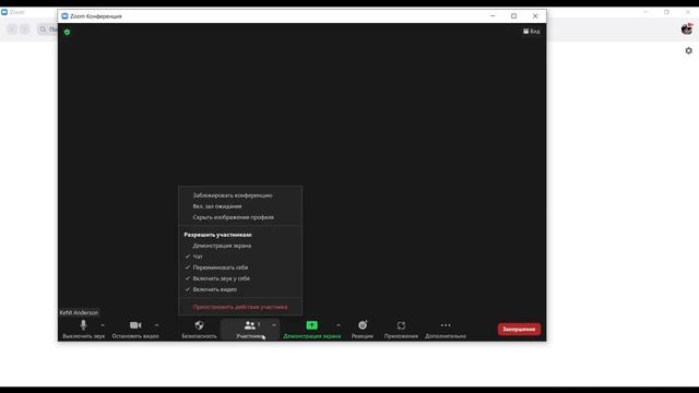 Как работать с zoom. смотреть онлайн