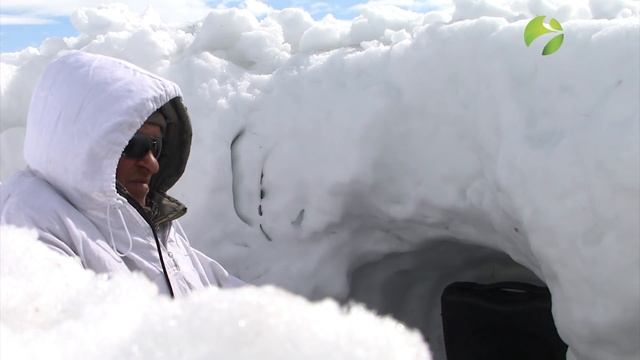 С Полем! Снежные лебеди и деревянные кони. смотреть онлайн