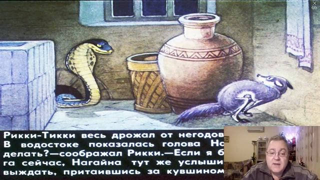 Сказка 134 Рикки-Тикки-Тави смотреть онлайн