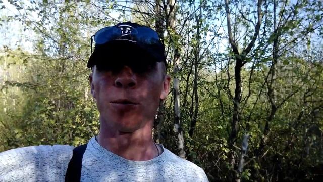 Анекдот про медведя и американских туристов в России !