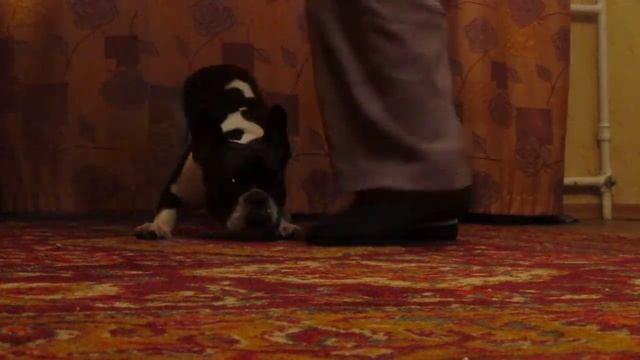 Учимся делать вальс в поклоне. смотреть онлайн