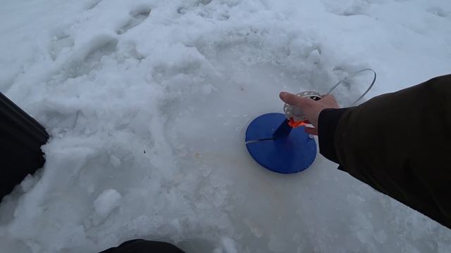 ЩУКИ МЕНЯ ЖДАЛИ! ФЛАГИ ВСТАЮТ ДРУГ за ДРУГОМ! ЗИМНЯЯ РЫБАЛКА на ЖЕРЛИЦЫ. смотреть онлайн