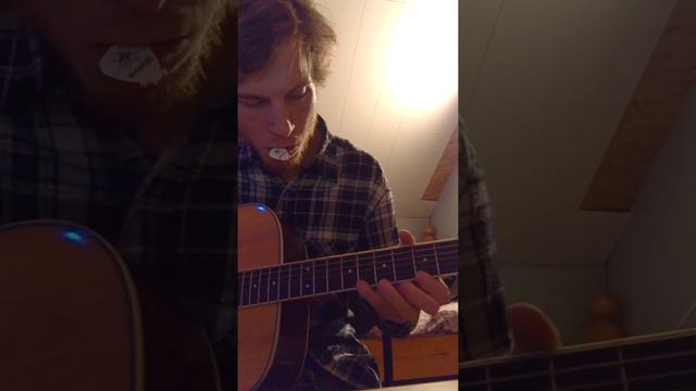 Washburn WD20S Helinäide.