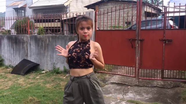 WAP FUNK REMIX DANCE COVER (PEDRO SAMPAIO) | CHELSEA LIZ REY смотреть онлайн