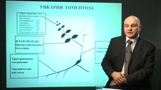 Vision Детокс смотреть онлайн