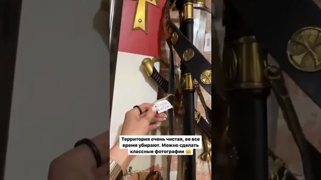 Тур с посещением Мирского замка за 65 руб. от "Travellab" смотреть онлайн