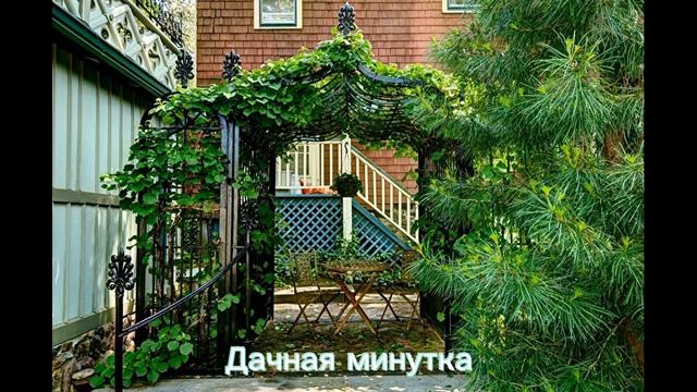 Красивые беседки топ 100 смотреть онлайн