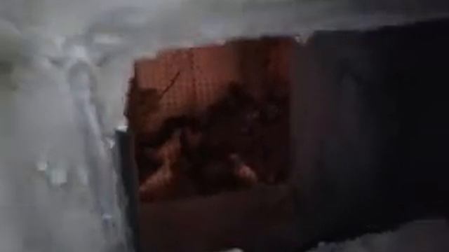 Куры на батарее № 300 смотреть онлайн